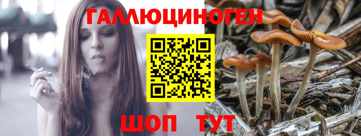 Галлюциногенные грибы Magic Shrooms Россошь