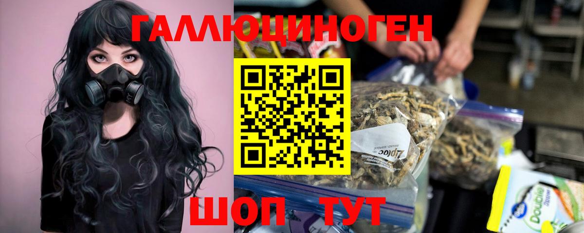 Россошь  Псилоцибиновые грибы ЛСД  Псилоцибиновые грибы Psilocybe  Вход с VPN 
